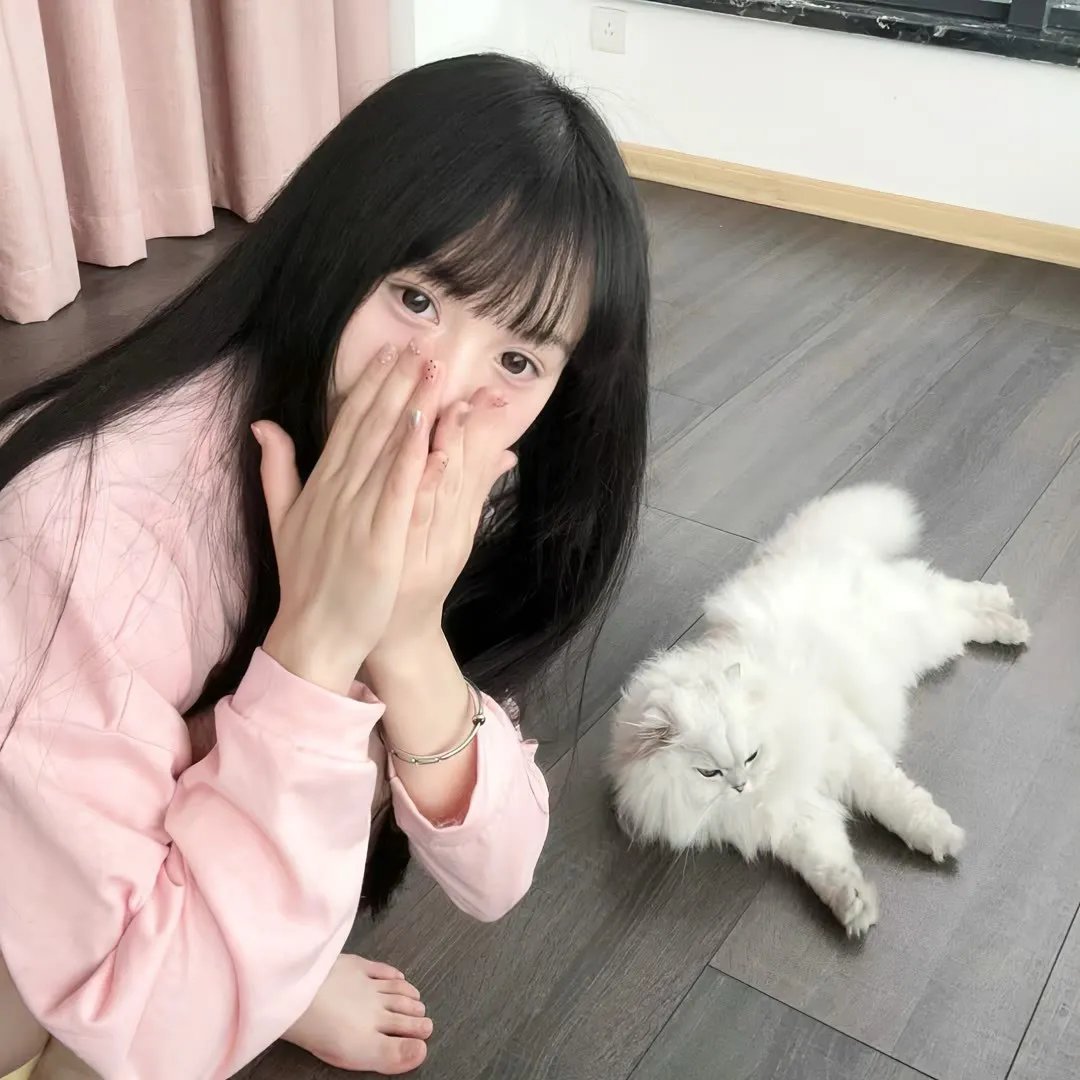 儿女英雄传